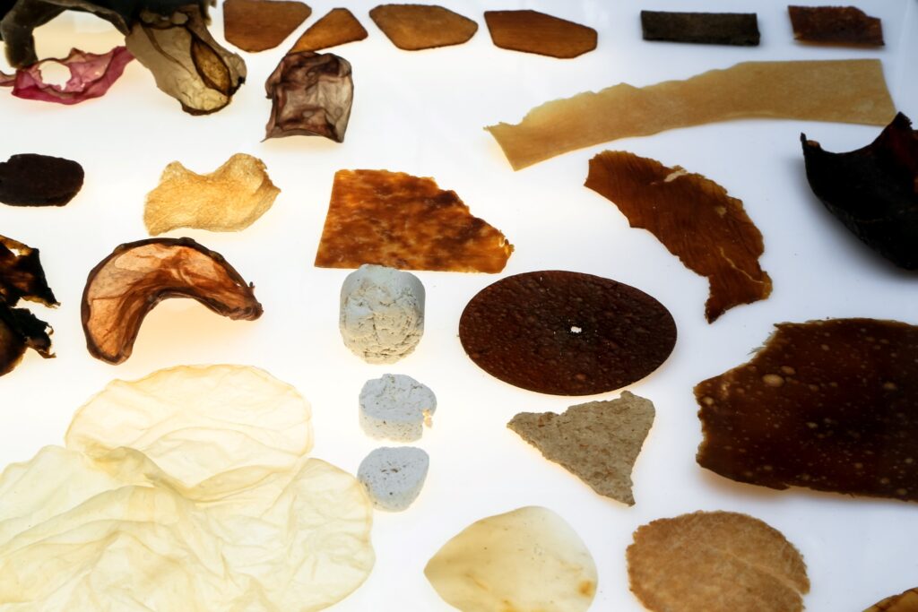 Fungal Futures - Materials Samples ©Officina Corpuscoli,Maurizio Montalti